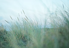 Postkarte Meerespastell