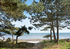 Postkarte Meine Bank am Strand