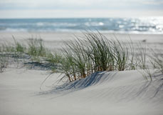Postkarte Klarer Tag am Meer