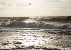 Postkarte Bewegte See