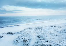 Postkarte Eisblaue Meeressinfonie