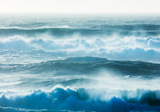 Postkarte Das Meer sehr lebendig