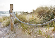 Postkarte Tau an der Düne