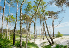 Postkarte Traumstrand