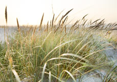 Postkarte Abends am Meer