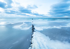 Postkarte Meeresschaum an der Buhne