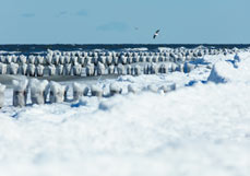 Postkarte Winterzauber am Meer