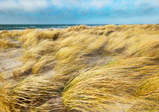Postkarte Dünenmeer