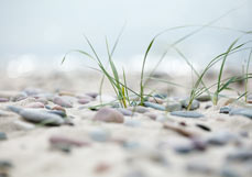 Postkarte Lieblingssteine