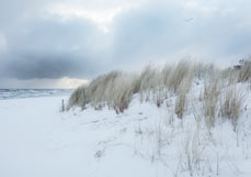 Postkarte Dünen in Winterruhe