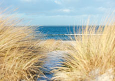 Postkarte Lieblingsdünendurchblick