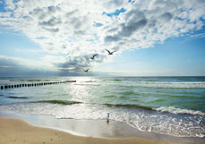 Postkarte Frisch und Frei