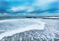 Postkarte Sturmgepeitscht