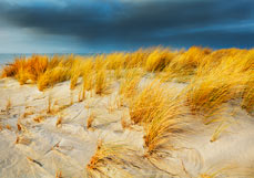 Postkarte Düne & Himmel komplementär