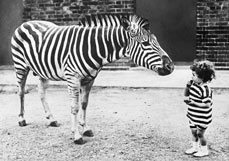 Postkarte Wer ist das Original?