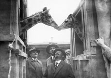 Postkarte Wieder vereint