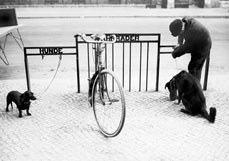 Postkarte Alles hat seine Ordnung