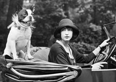 Postkarte Frau Goldschmidt mit Dogge im Cabrio