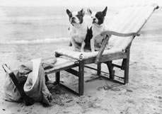 Postkarte Hier ist schon besetzt!