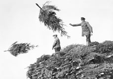 Postkarte O Tannenbaum!
