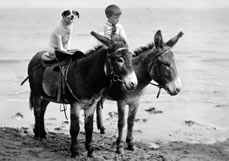 Postkarte Tierisch gute Freunde