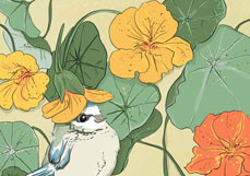 Postkarte Geliebte Kresse