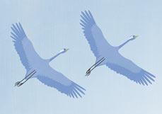 Postkarte Kraniche