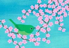 Postkarte Cherry Bird