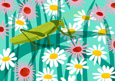 Postkarte Grashüpfer in der Blumenwiese