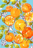 Postkarte Orangenduft