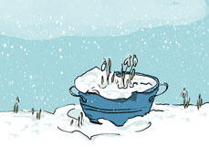 Postkarte Die ersten Schneeglöckchen