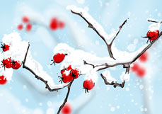 Postkarte Verschneite Hagebutten