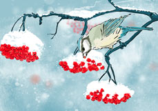 Postkarte Winterschmaus