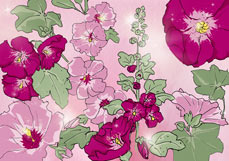 Postkarte Stockrosen