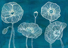 Postkarte Mohnblüten