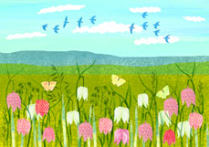 Postkarte Schachbrettblumenwiese