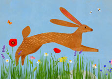 Postkarte Feldhase