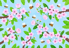 Postkarte Hummeln lieben Kirschblüten