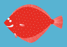 Postkarte Freundliche Flunder