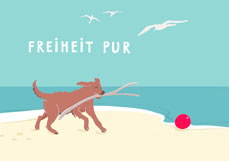 Postkarte FREIHEIT PUR