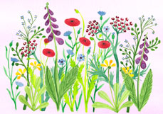 Postkarte Blumenwiese