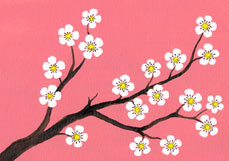 Postkarte Cherryblossom