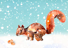 Postkarte Eichhörnchen liebt Haselnüsse