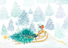 Postkarte Rotkehlchen besucht Tannenbäumchen