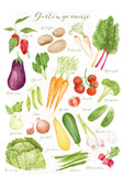 Postkarte Gartengemüse