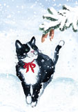 Postkarte Katze im frischen Schnee