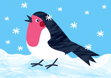 Postkarte Rotkehlchen im Schnee