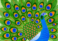 Postkarte Prächtiger Pfau