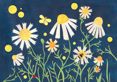 Postkarte Kamille auf der Wiese