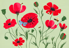 Postkarte Herrlicher Klatschmohn